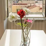 In Flats * Νάπολη